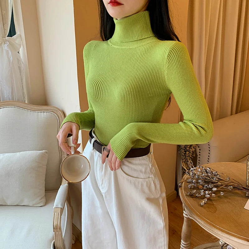 Autumn Winter Women Long Sleeve Knitted Foldover Turtleneck Ribbed Pull Sweater