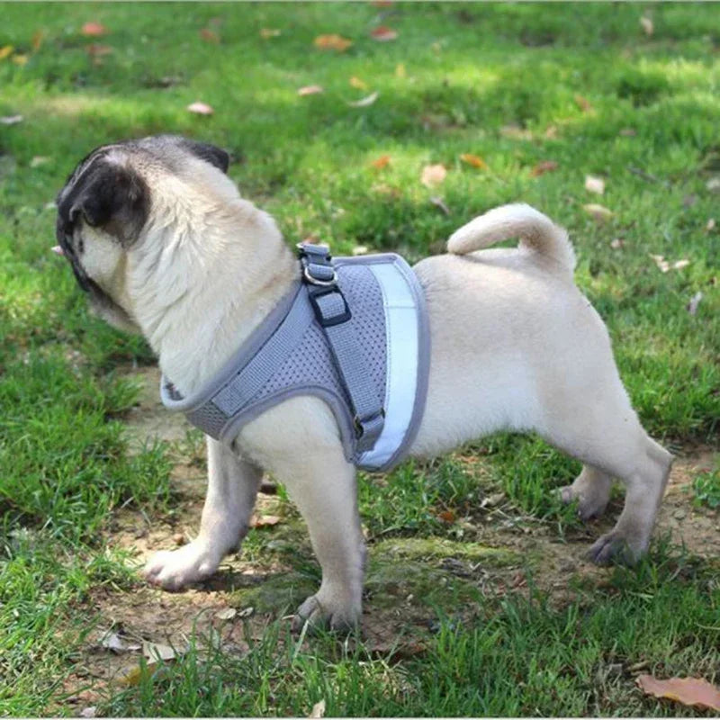 Vest Harness Leash Adjustable Mesh Vest Dog Harness Collar Chest Strap