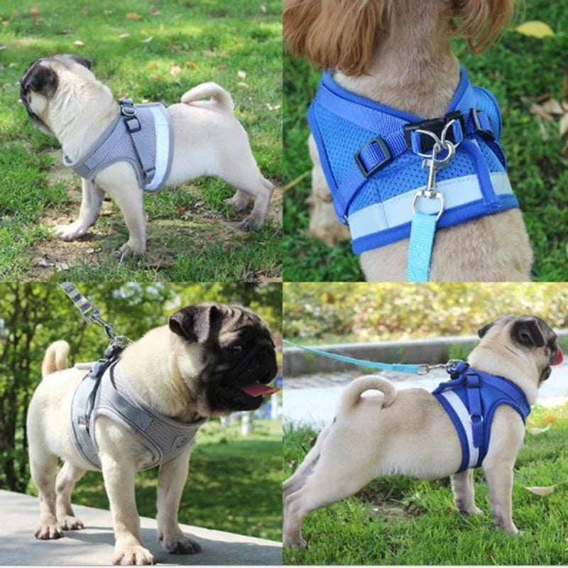 Vest Harness Leash Adjustable Mesh Vest Dog Harness Collar Chest Strap