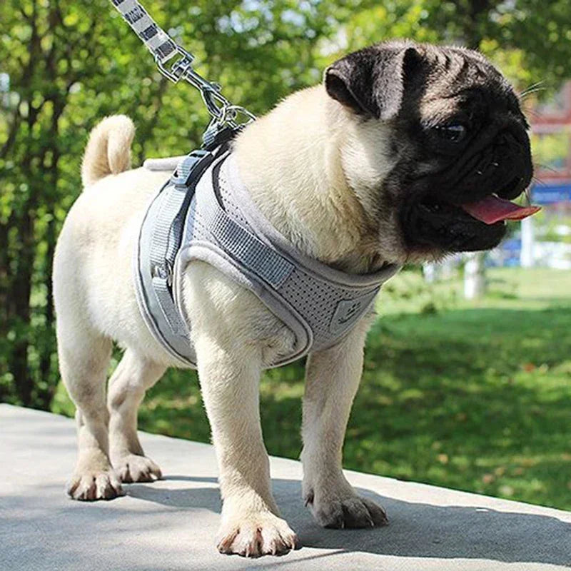 Vest Harness Leash Adjustable Mesh Vest Dog Harness Collar Chest Strap